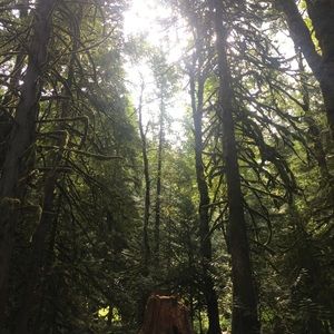 Meet your Posher, Ayari